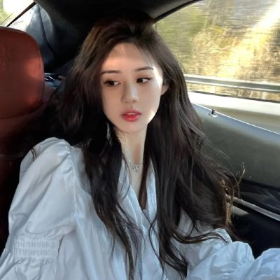 高达自画像