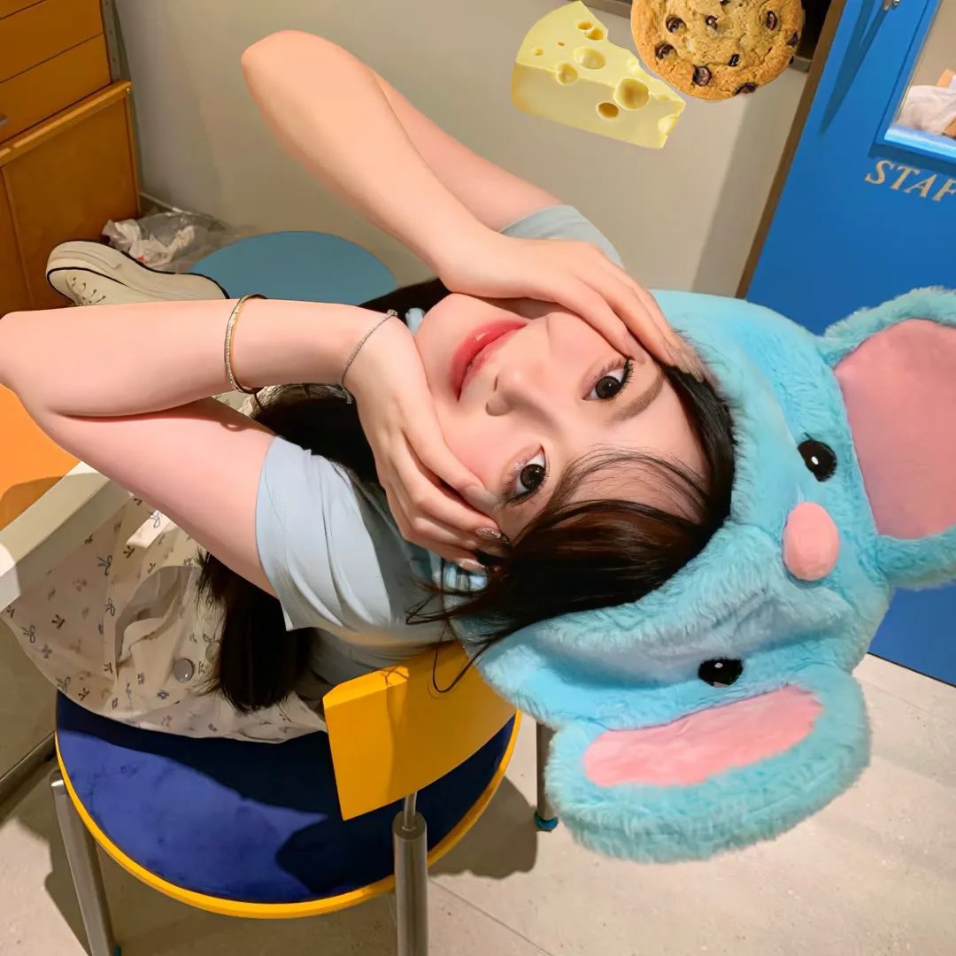 美国鸟类